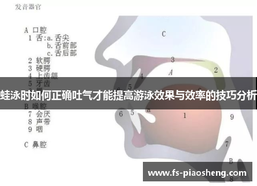 蛙泳时如何正确吐气才能提高游泳效果与效率的技巧分析